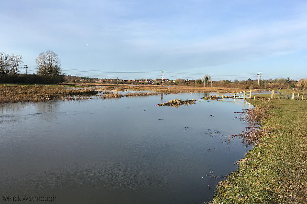 New Year’s Day – Now and Then