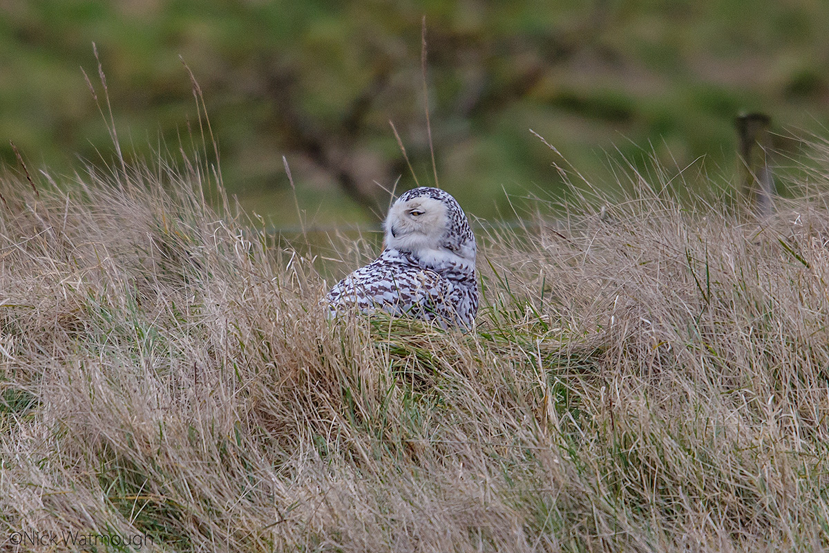 Getting better every day