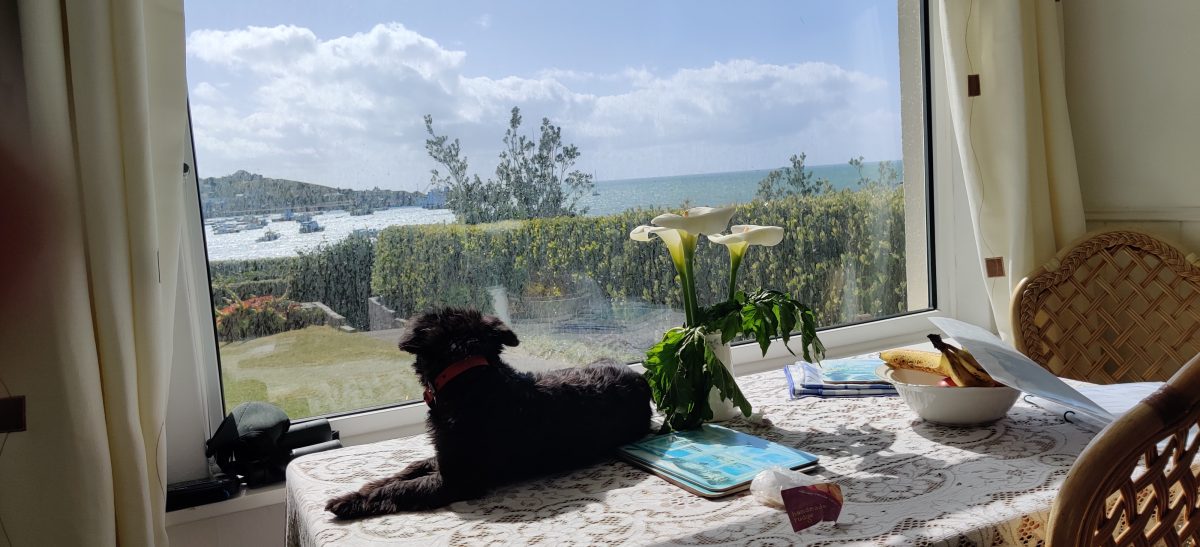 A Scilly Spring Week