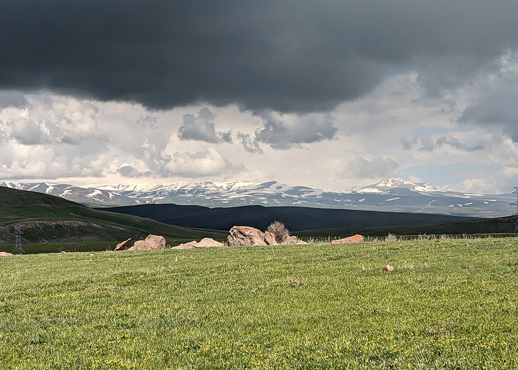 Birding The Silk Road