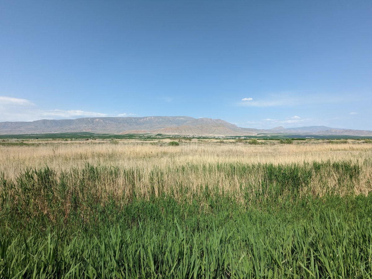 Return to the Caucasus